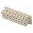 DF20A-30DS-1C Connector: wire-board; plug; female; SignalBee; 1A; 100V; PIN: 30 6df2qgyI62tPSEVMNa-WVJaPWtpGJl4oI5hSw98vNZ4