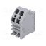 DG262-5.0-02P-11-00AH Connector: PCB terminal block; terminal; 20A; 300V; angled; tinned o0mlEi8_lBxjH0jw4LEPy_IGtlBMvBbx1B6eGlMj-qM