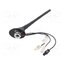 7677855 Antenna; car top,automotive; 0.2m; AM,DAB,FM; 0.2m; 12VDC SXV9CbQsiUcsh-knqZEj8ZDWJI175cs4jb8OrgzL8S0