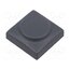 825.000.021 Button; rectangular; grey; polyamide; 18.3x18.3mm XDsz-FXELrIS3BBQGGjVUfobmzlbsNyoY9Xq5QGrBxU