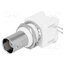 B6252H5-NPP3G-50 Connector: BNC; socket; female; angled 90°; 50Ω; THT IhtK__DnT36SJw37RKywhOSowtJfQ-JyouqqrmcBasI