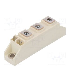 DD100N16S Module: diode; double series; 1.6kV; If: 130A; BG-SB20-1; screw mGyCxaHvY6nkKl22ITntOJ0-y-Llj22HeU07hI_fsY8