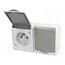 D.3612SGG/1 Connector: AC supply; socket; 2P+PE; 250VAC; 16A; grey; PIN: 3; IP44 MBeHbEBmsDdk0ybl3AfQ00izHyKTTfbex9V-6Ij-C3w