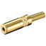 SOCKET ø3.5mm stereo for Cable, gold-plated CLI055.jpg