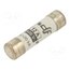 420612 Fuse: fuse; 12A; 400VAC; gG; ceramic,cylindrical,industrial RI0ZRW3fLVdyKxCaWvIkNcdwxRyBGX8WZDx2Bjclg8U