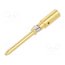 13162900 Contact; male; gold-plated; 2.5mm2; turned contacts; bulk; crimped omBpNfIMeEBSjR9SdUhzln-PdTxSuaHRYd69g4sV6_U