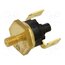 AR33.110.05.W3-S2 Sensor: thermostat; NC; 110°C; 16A; 250VAC; connectors 6,3mm; ±5°C tW_ju8a9jtlQLWbnheH7aM15uf4DL3KacycwKVh2KEg