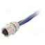 PXMBNI08FPF05BFL001 Connector: M8; female; PIN: 5; 30V; IP67; socket; 1.5A; 100mm q6vubkvjeXQ1Q5R9Wtl_kGJuS963RG99yEDyw3izNkQ