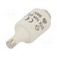 LE2710 Fuse: fuse; 10A; 500VAC; gG,time-lag; DII DX3hYjMTwc8o-EVMZMFa95Ht4V4yTsJYXTOY6WI5kkA