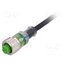 7000-12291-6340500 Cable: for sensors/automation; M12; PIN: 4; straight; 5m; plug; 4A _0NAFsoiiLialK5gJSfH9wyjUmJAvfhY-MOkQz2puZo