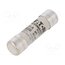 C14G10 Fuse: fuse; 14.3x51mm; ceramic,cylindrical,industrial; 10A; gG BKPqYhebC1nclTBPsLIJ9iNDDl3CBBl5LlYNw6fZbFI