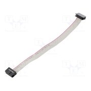 DS1052-01-102B2NA201501 Ribbon cable with IDC connectors; Tape ph: 1mm; Contacts ph: 2mm yEp6L8Zwdiun83zqF6mLhjlh0lxaXKoCOSstKtCqnGI