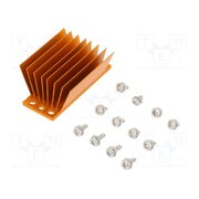 ATS-1181-C1-R0 Heatsink: extruded; grilled; BGA; golden; L: 58mm; W: 23mm; H: 22.9mm S-kM6b-7roxbrfRPyURMNnTZe8ygOdXRoivoOKSVUtc