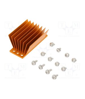 ATS-1181-C1-R0 Heatsink: extruded; grilled; BGA; golden; L: 58mm; W: 23mm; H: 22.9mm S-kM6b-7roxbrfRPyURMNnTZe8ygOdXRoivoOKSVUtc