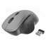 Wireless Mouse Gembird MUSW-6B-02-BG AKPEL07S.jpg