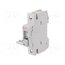 002261002 Fuse disconnector; D01; for DIN rail mounting; 10A; 230/400VAC KmlX00te7IjCEJB-BOd7AwK4HIGRlsNG0HDgjAFVxBA