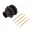 EN2P4M22K Connector: circular; socket; male; 5A; 125V; PIN: 4; EN2; soldering Z2PEr2C_k1IsNIXPlV4c58V9PXKkrLk6jvodDZlnRcA