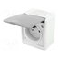 D.3610SG/1 Connector: AC supply; socket; 2P+PE; 250VAC; 16A; grey; PIN: 3; IP44 oVEiADhYhdmkOHxmhfDeurQDrOHS54YDgCFn_tofGpg