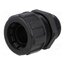 55502473 Straight terminal connector; Thread: PG,outside; polyamide; IP65 cwIu9__SvdzHx8Rv0zSkmwhHw9E4E5RDmsQ6xjdut08