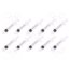 8401008 Syringe; 10ml; transparent; Luer Lock; polypropylene; 10pcs. XW83T5pCfMKynnS58DEPoKXUoPhyYSAZBPXgrlN38K0
