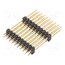 SL 14 187 20 G Connector: pin strips; pin header; male; PIN: 20; straight; THT BE4hYwXcoc6H7qXzJm5-1q3nWVfgc5Um6RgrNpuxbJg
