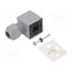 042N1256 Accessories: plug for coil; IP67; white cold,grey; 250V mfhstCzSzxrH7VcNURi0_0dsz2TJIMS85bUdN5NbD6w
