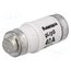 40NZ02 Fuse: fuse; 40A; 400VAC; 250VDC; ceramic,industrial; D02 ZY0inIFSCtTxMX4Cpczt9_IpdTOAL2lXjZmcj-76j-M