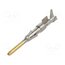 11221300 Contact; male; gold-plated; 0.5÷1.5mm2; bulk; crimped E9wXaPO7KlUXsTmHNGW2zUU3a1TVpm6C-1Z7r4Yd1cE