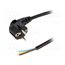 LT322 H05VV-F 3X1.5 5.0M BLK Cable; 3x1.5mm2; CEE 7/7 (E/F) plug angled,cables; PVC; 5m; black cbg1Wb0PMjtkTmnwZswgxWUUCDFY7IKNXcZLoNyy5Qs