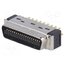 10136-3000PE Connector: MDR; PIN: 36; shielded; for cable; polyester; plug; male wnt-TJTZNsSEVCizEnzDfpK5varkXzYEjCFOeBOG7B8