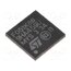 STM32F051K8U6 IC: STM32 ARM microcontroller; 48MHz; UFQFPN32; 2÷3.6VDC; STM32F0 TUVn4agpdxjYC0fhSob4My_M3sDu7KYkDzvhTvyN1x8