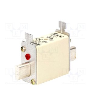 100NHG000B Fuse: fuse; 100A; 500VAC; 250VDC; ceramic,industrial; NH000 pyEsaR22IC-UJ1lXwNYTb-ovxsfMCuXAvUbAq3k7u04