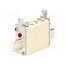 100NHG000B Fuse: fuse; 100A; 500VAC; 250VDC; ceramic,industrial; NH000 pyEsaR22IC-UJ1lXwNYTb-ovxsfMCuXAvUbAq3k7u04
