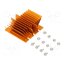 ATS-1106-C1-R0 Heatsink: extruded; grilled; BGA; golden; L: 61mm; W: 58mm; H: 22.9mm yHorXfSuCNsG_uWBHD-XzTpz-99poWtAdMZvlS0nESY