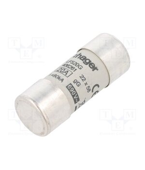 LF520G Fuse: fuse; 20A; 690VAC; gG; cylindrical,industrial; 22x58mm 3Mj2IQemfexfCi-RDR0vTH44as8DNJ3il-GnJt83Gbs