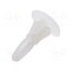 8G820V40988 -AS Assembly stud; polyamide; L: 6.4mm; latch/latch; Ø2: 6.35mm; Ø1: 4mm EQm3-y9sRzRZzq1XgLPE87qjH0le2hNp_RIIuVasN4M