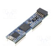 CMOD S7 Dev.kit: Xilinx; Comp: XC7S25-1CSGA225; Add-on connectors: 1 uCBmgP4LgDuXCWCN1ag0bDNF5oOm9dRJlaSPf9QcTg8