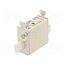 004181204 Fuse: fuse; 10A; 500VAC; gG; ceramic,industrial; NH000; WT-NH ptWzBl6NOXdZWcq5jxqHMO6zB_LbXYFWIkzHpd4ZGFY