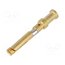 09150006223 Contact; female; copper alloy; nickel plated,gold-plated; 0.5mm2 6fBjoShiqtoAapPFMUkWf6vCUiN-PIHspohhE9VKapM