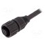 CA0161B02603012 Connector: circular; plug; PIN: 7; female; cables; ECOMATE (C016) Mcu550W7PsGfr2Zw70XLM7qb2n65jfwfsZxKCXPuU5A