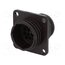 183040-1 Connector: circular; socket; male; PIN: 14; w/o contacts; size 17 cjV2d5eIh6GjR8AerLhVoEwlkjp3i4voGgaYwqp5YtY