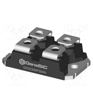 GD2X30MPS06N Module: diode; double independent; 650V; If: 30Ax2; SOT227B; screw u4NWuJjvByQ2djr9iOF4GNIst011fu7y3QaGMEPdE0c