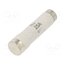 002311107 Fuse: fuse; 25A; 500VAC; 500VDC; quick blow; ceramic; DI; D iCJtWoxi2AHo0IO08bMb5rYBVsyjo9iiw2BesXelpPM