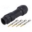 BB-04BMMA-QL8LPP Connector: circular; plug; for cable; PIN: 4; male; with contacts Lub4S6BpFNUiaxsPEKBVIv_eIQept5fWB7i0K3NFcPg