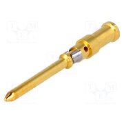 09152006124 Contact; male; copper alloy; gold-plated; 0.14÷0.37mm2; crimped tZFOe9957gvI_nzcZGC9CV3FjCcRjEk4YB1jvhz7hJw