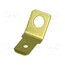 BM 01005 Terminal: flat; 6.3mm; 0.8mm; male; M4; non-insulated; screw; brass rWYJYez6rMeRSaTdh2GDGcxQzoeGu7cTKRfJInDJz2s