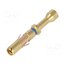 RC20M12K Contact; female; 16; 838,UTO,UTS,VGE1; gold-plated; 0.32÷0.52mm2 krjQl2C7Xivegz7ksY-lISfm_imtHFeDDr77AyVxOXg