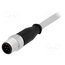21348400882005 Connector: M12; plug; male; PIN: 8; straight; cables; 0.5m wdrMUUxylzgEkb5uH-P3rmAcQmQDHzdSdlE30cIulCQ