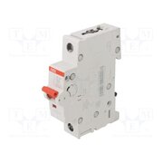 2CDD281101R0032 Switch-disconnector; Poles: 1; for DIN rail mounting; 32A; 253VAC jcKPomYqZCXZghuc630XmyApuCdl-japESvAfZwCRHk
