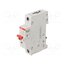 2CDD281101R0032 Switch-disconnector; Poles: 1; for DIN rail mounting; 32A; 253VAC jcKPomYqZCXZghuc630XmyApuCdl-japESvAfZwCRHk